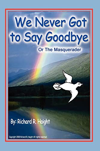 We Never Got To Say Goodbye [Paperback]
