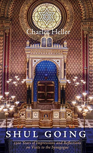 Shul Going  2500 Years of Impressions and Reflections on Visits to the Synagogu [Hardcover]