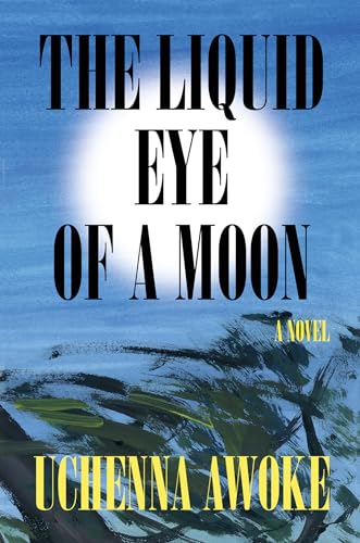 The Liquid Eye of a Moon A Novel [Hardcover]