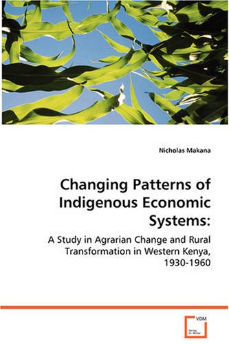 Changing Patterns of Indigenous Economic Systems [Paperback]