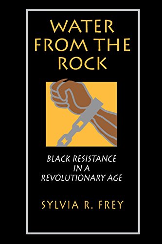 Water from the Rock Black Resistance in a Revolutionary Age [Paperback]