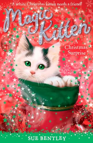 A Christmas Surprise [Paperback]