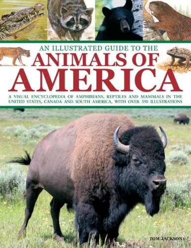 An Illustrated Guide To The Animals of America A visual encyclopedia of amphibi [Paperback]