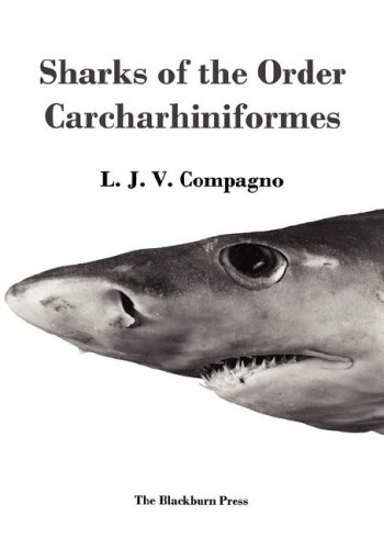 Sharks Of The Order Carcharhiniformes [Hardcover]