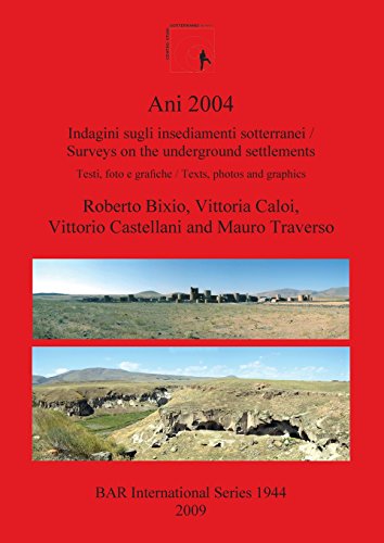 Ani 2004 Surveys on the Underground Settlements [Paperback]