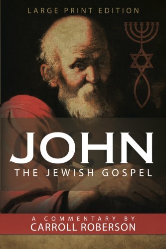 John The Jewish Gospel [Paperback]