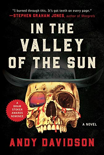 In the Valley of the Sun A Novel [Paperback]