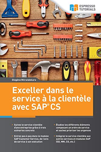 Exceller Dans le Service &65533 la Clientele Avec SAP CS [Paperback]