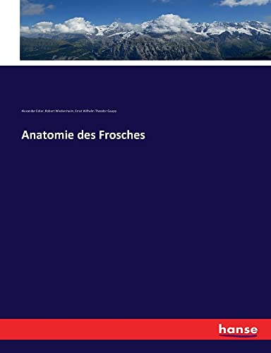 Anatomie Des Frosches