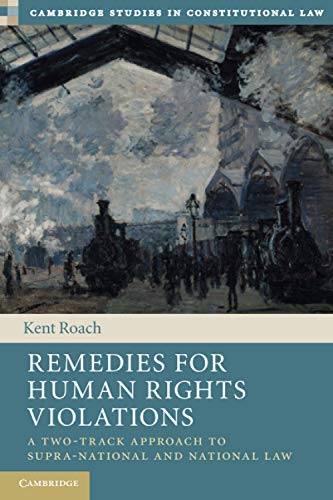 Remedies for Human Rights Violations A Two-Track Approach to Supra-national and [Paperback]