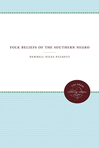 Folk Beliefs Of The Southern Negro [Paperback]