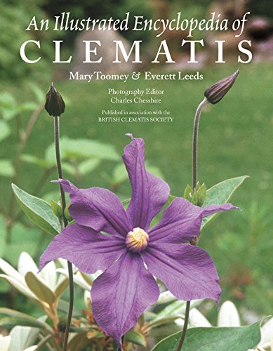 An Illustrated Encyclopedia Of Clematis [Paperback]