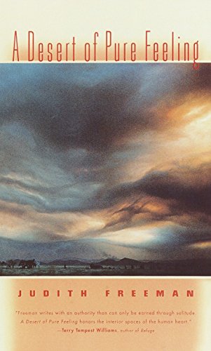 A Desert of Pure Feeling [Paperback]