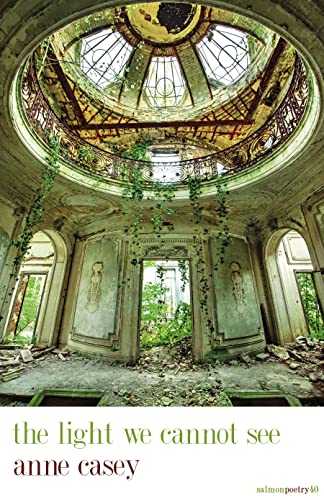 the light we cannot see [Paperback]