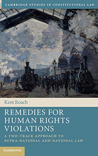 Remedies for Human Rights Violations A Two-Track Approach to Supra-national and [Hardcover]