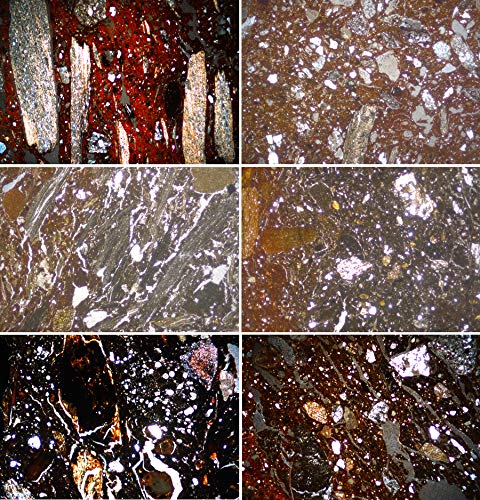 Bramiana Salvaging Information from a Destroyed Minoan Settlement in Southeast  [Hardcover]