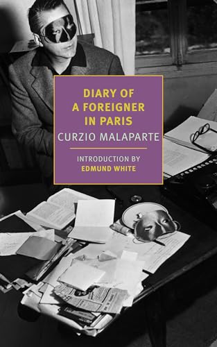 Diary of a Foreigner in Paris [Paperback]