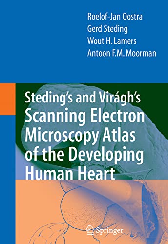 Steding's and Virgh's Scanning Electron Microscopy Atlas of the Developing Huma [Paperback]