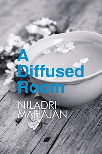 A Diffused Room [Paperback]