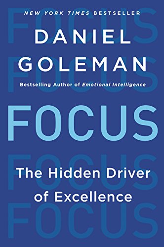 Focus: The Hidden Driver of Excellence [Paperback]