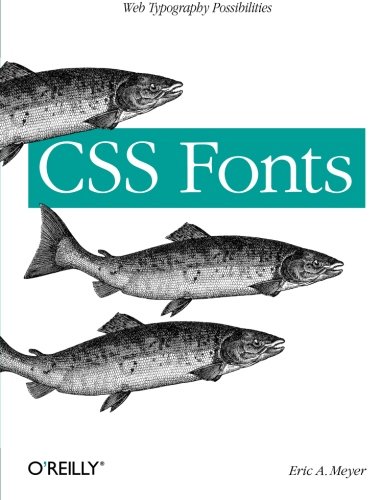 CSS Fonts Web Typography Possibilities [Paperback]