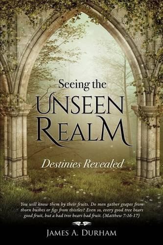 Seeing The Unseen Realm [Paperback]