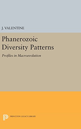 Phanerozoic Diversity Patterns Profiles in Macroevolution [Hardcover]