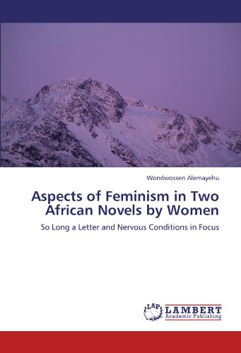 Aspects of Feminism in Two African Novels by Women [Paperback]