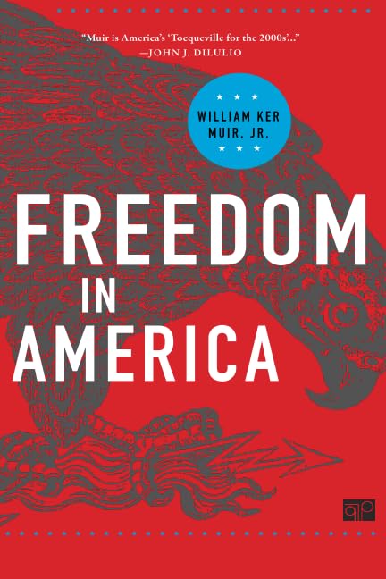 Freedom in America [Paperback]