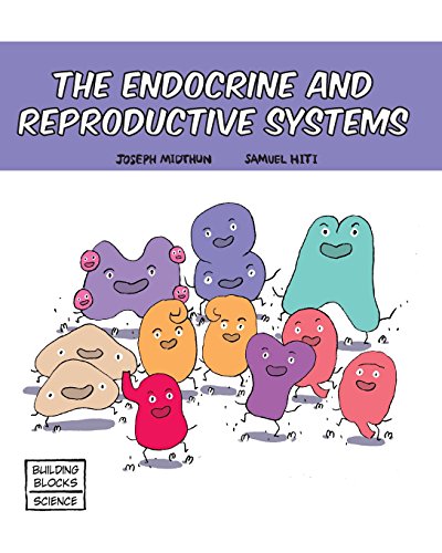 The Endocrine And Reproductive Systems [Paperback]