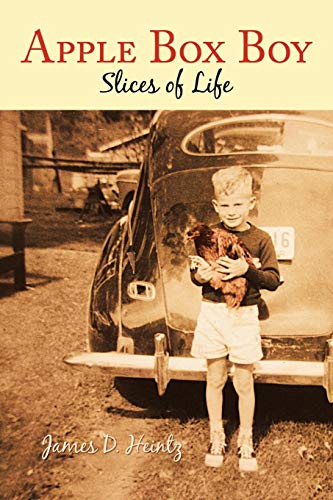 Apple Box Boy  Slices of Life [Paperback]