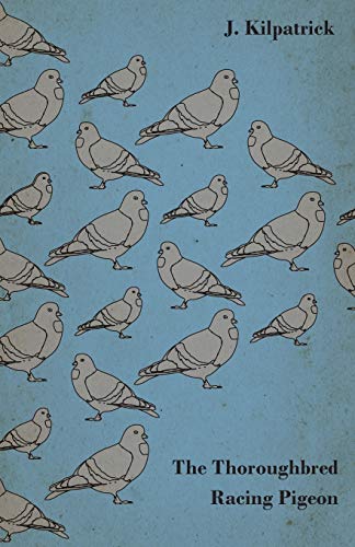 Thoroughbred Racing Pigeon [Paperback]