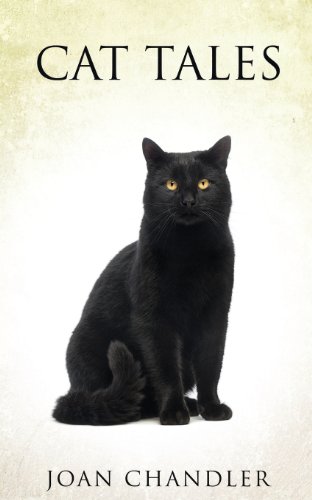 Cat Tales [Paperback]