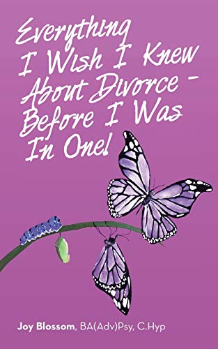 Everything I Wish I Knew about Divorce - Before I Was in One [Paperback]