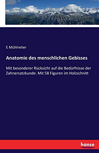 Anatomie Des Menschlichen Gebisses