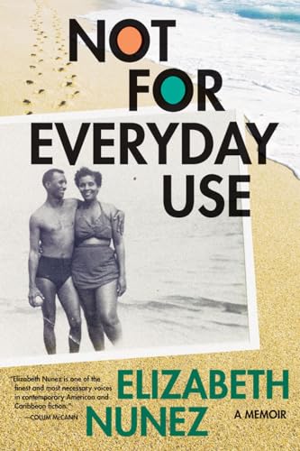 Not for Everyday Use A Memoir [Paperback]