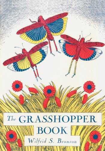 The Grasshopper Book [Paperback]