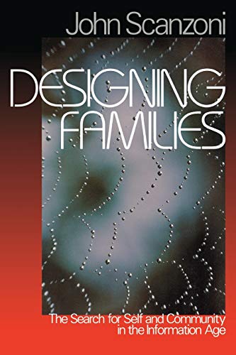 Designing Families The Search for Self and Community in the Information Age [Paperback]