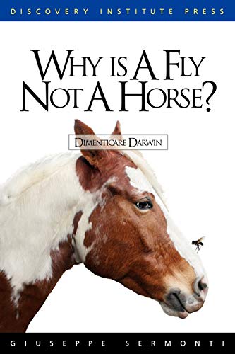 Why Is A Fly Not A Horse [Paperback]