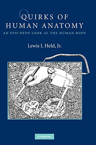 Quirks of Human Anatomy An Evo-Devo Look at the Human Body [Hardcover]