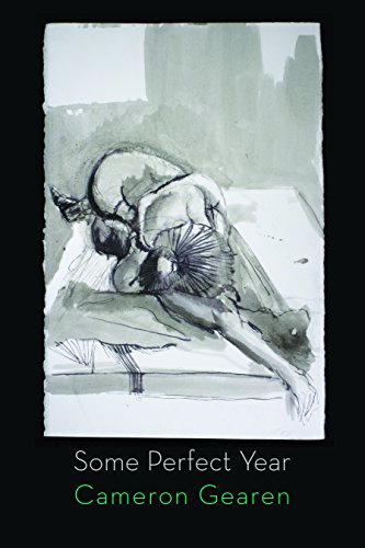 Some Perfect Year [Paperback]