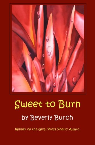 Sweet To Burn [Paperback]