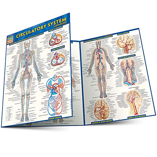 Circulatory System Advanced [Fold-out book or cha]