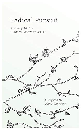 Radical Pursuit  A Young Adult's Guide to Following Jesus [Paperback]