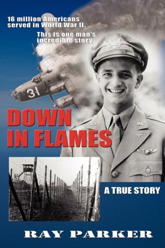 Down In Flames [Paperback]