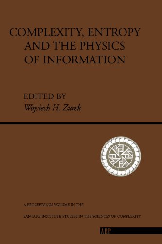 Complexity, Entropy And The Physics Of Information [Paperback]