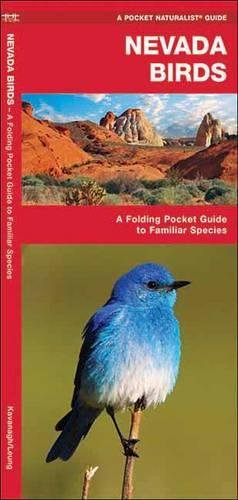 Nevada Birds A Folding Pocket Guide to Familiar Species [Pamphlet]