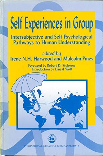 Self Experiences In Group INTERSUBJECTIVE AND SELF PSYCHOLOGICAL PATHWAYS TO HU [Paperback]