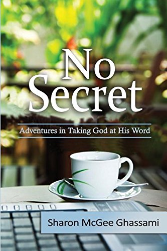 No Secret Adventures In Taking God At His Word [Paperback]