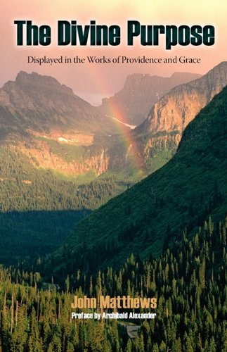 The Divine Purpose Displayed In Providence And Grace [Paperback]